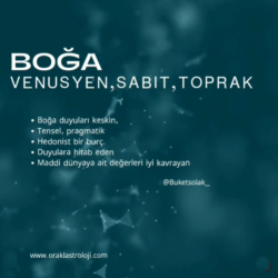 boğa boğa